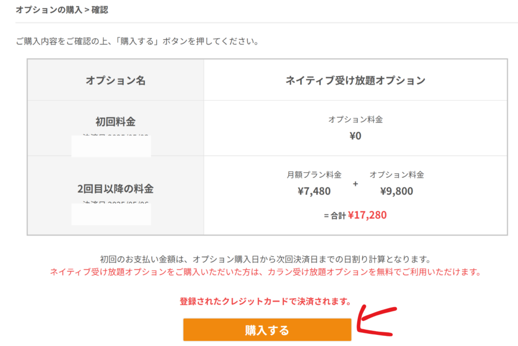 オプションの購入画面
